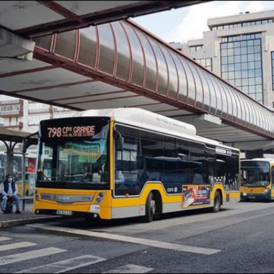 Fotografia onde aparecem dois autocarros da Carris parados na interface do Campo Grande